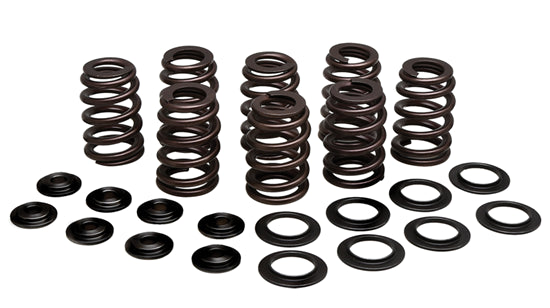 VALVE SPRING KITS